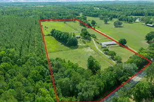 18585 N Hwy 329, Reddick, FL 32686 - Photo 1