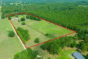 18585 N Hwy 329, Reddick, FL 32686 - Photo 9