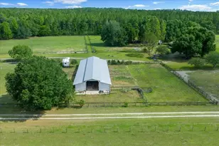 18585 N Hwy 329, Reddick, FL 32686 - Photo 17