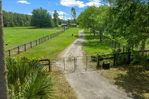 18585 N Hwy 329, Reddick, FL 32686 - Photo 7