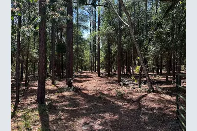 3890 SW 189th Avenue, Dunnellon, FL 34432 - Photo 31