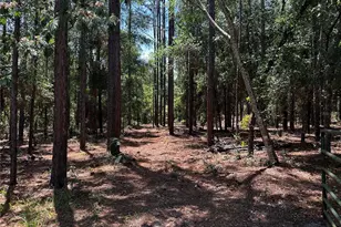 3890 SW 189th Ave, Dunnellon, FL 34432 - Photo 31