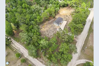 12671 NE 16th Street, Williston, FL 32696 - Photo 7