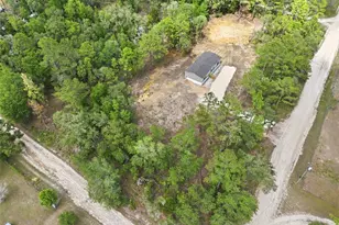 12671 NE 16 St, Williston, FL 32696 - Photo 7