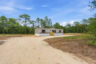 12671 NE 16 St, Williston, FL 32696 - Photo 3