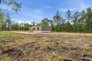 12671 NE 16 St, Williston, FL 32696 - Photo 5