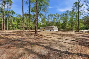 10451 NE 81 St, Bronson, FL 32621 - Photo 11