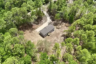 10451 NE 81 St, Bronson, FL 32621 - Photo 41