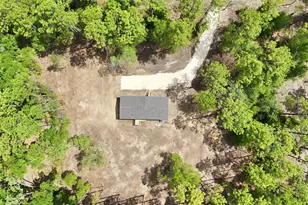 10451 NE 81 St, Bronson, FL 32621 - Photo 43