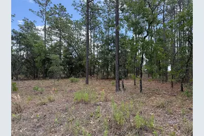 Nw Buena Vista Road, Dunnellon, FL 34431 - Photo 3