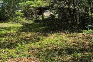 1491 SE 189th Ave, Silver Springs, FL 34488 - Photo 29
