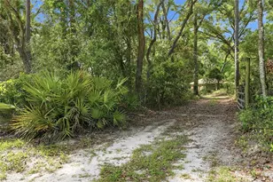 9291 NW 127th Pl, Chiefland, FL 32626 - Photo 5