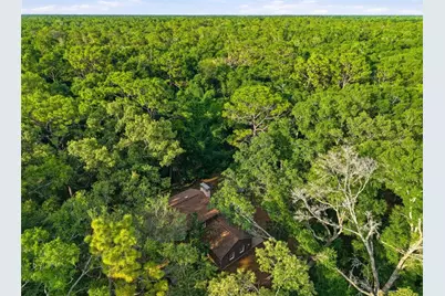 9291 NW 127th Place, Chiefland, FL 32626 - Photo 69