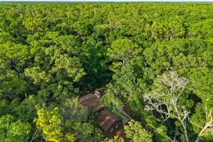 9291 NW 127th Pl, Chiefland, FL 32626 - Photo 69