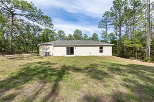 11300 N Angel Terrace, Citrus Springs, FL 34434 - Photo 21