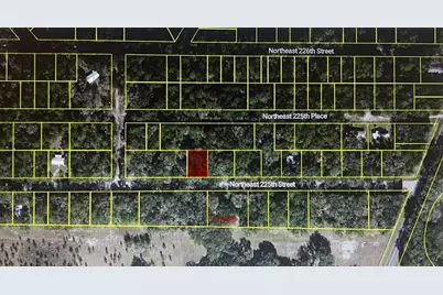 11545 NE Ne 225th St, Fort Mc Coy, FL 32134 - Photo 1