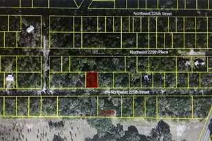 11545 NE Ne 225th St, Fort Mc Coy, FL 32134 - Photo 1