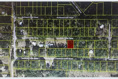 Tbd NE 225th Place, Lots 17.18.19, Fort Mc Coy, FL 32134 - Photo 1