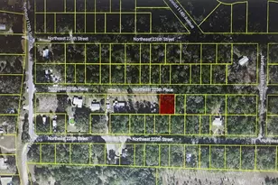 Tbd NE 225th Pl, Fort Mc Coy, FL 32134 - Photo 1