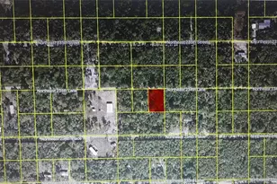 Tbd NE 234th Ln Lot 20, Fort Mc Coy, FL 32134 - Photo 1