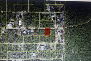 Tbd NE 235th St, Fort Mc Coy, FL 32134 - Photo 1