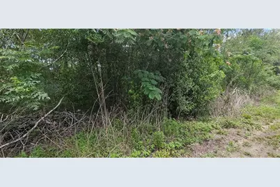 144th, Summerfield, FL 34491 - Photo 3