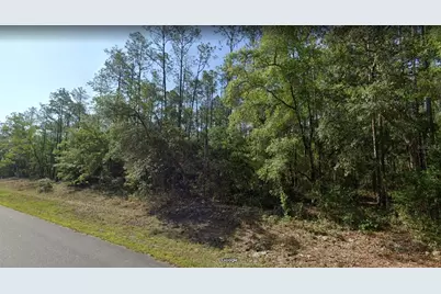 546 E Bimini Drive, Dunnellon, FL 34434 - Photo 1