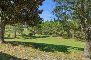1598 W Spring Meadow Loop, Lecanto, FL 34461 - Photo 33