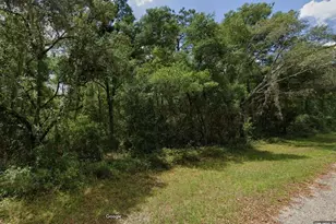 282 W Whitmarsh Ct, Dunnellon, FL 34434 - Photo 1