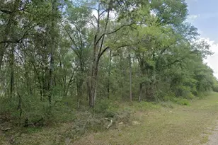 719 E Byrd Loop, Dunnellon, FL 34434 - Photo 1