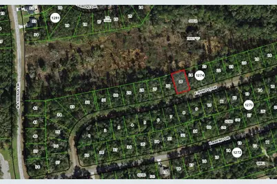 719 E Byrd Loop, Dunnellon, FL 34434 - Photo 5