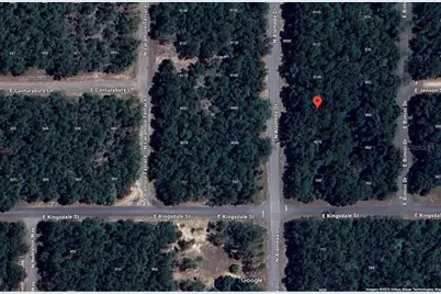 9085 N Alameda Drive, Citrus Springs, FL 34434 - Photo 3
