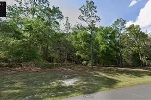 9454 N Wayland Ave, Citrus Springs, FL 34434 - Photo 1