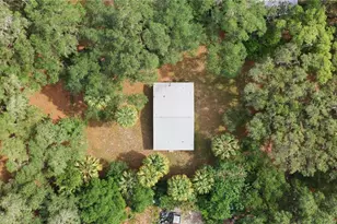 13122 E Hwy 316, Fort Mc Coy, FL 32134 - Photo 5