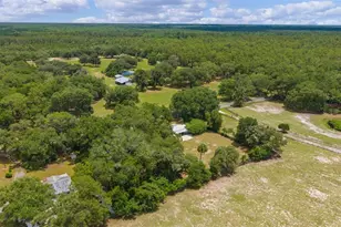 13820 NE 150th Ave, Fort Mc Coy, FL 32134 - Photo 41