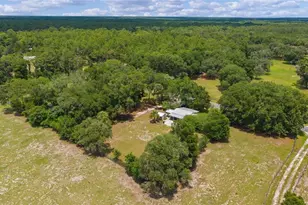 13820 NE 150th Ave, Fort Mc Coy, FL 32134 - Photo 43