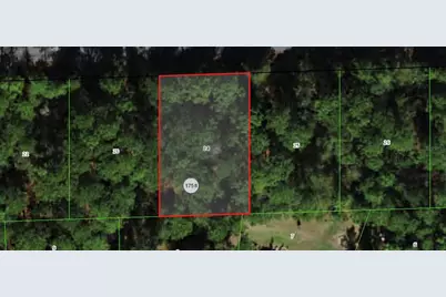 864 W Bannister Drive, Citrus Springs, FL 34434 - Photo 1