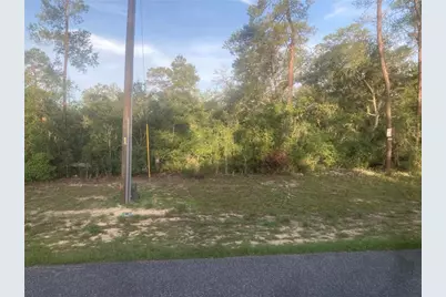 00 SW 50th Terrace Road, Ocala, FL 34473 - Photo 3