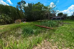 2501 Gator Ln, Groveland, FL 34736 - Photo 35