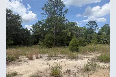 Tbd SW 145th Ct, Ocala, FL 34482 - Photo 3