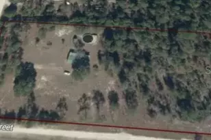 4551 NE 132nd Ct, Williston, FL 32696 - Photo 1