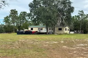 4551 NE 132nd Ct, Williston, FL 32696 - Photo 7