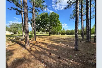 4551 NE 132nd Court, Williston, FL 32696 - Photo 1