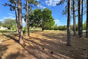 4551 NE 132nd Ct, Williston, FL 32696 - Photo 1