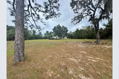 4551 NE 132nd Court, Williston, FL 32696 - Photo 5