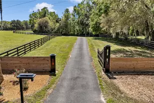 7000 NW Hwy 320, Micanopy, FL 32667 - Photo 15