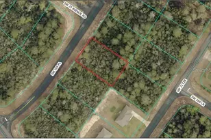 Lot 16 SW 169th Pl, Ocala, FL 34473 - Photo 1