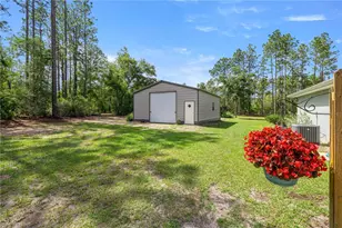 3372 W Webster Pl, Citrus Springs, FL 34433 - Photo 3