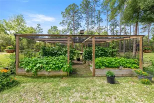 3372 W Webster Pl, Citrus Springs, FL 34433 - Photo 23