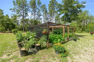 3372 W Webster Pl, Citrus Springs, FL 34433 - Photo 25